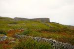 PICTURES/Innishmore - Dun Eoghanachta & Dun Aonghas Stone Forts/t_DSC04819.JPG